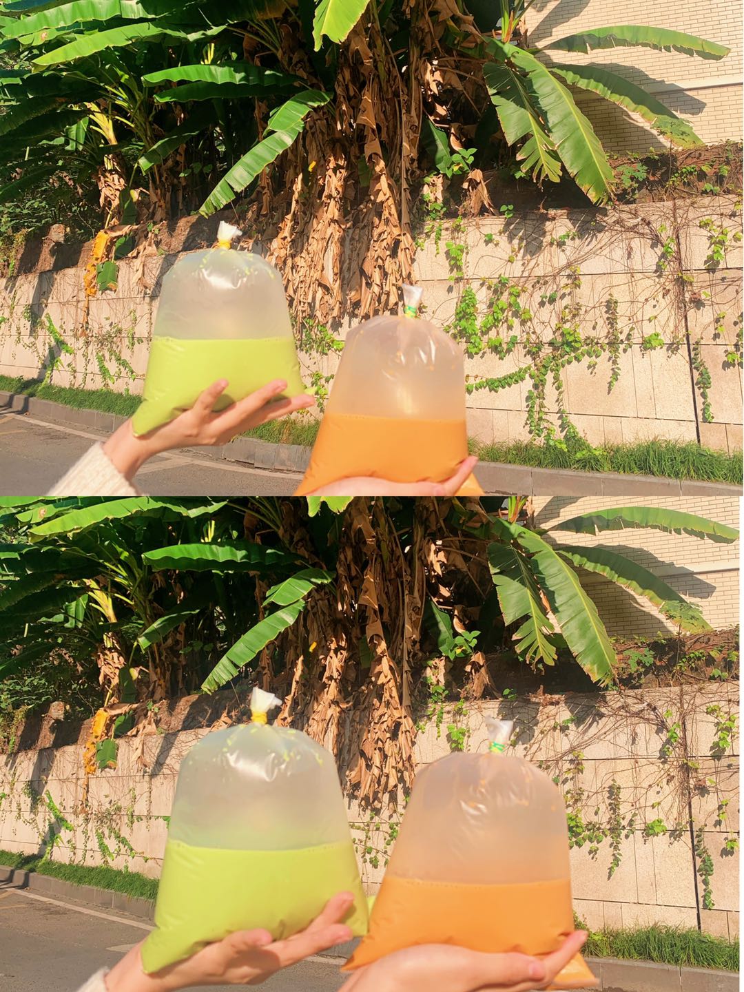 泰式奶茶推荐品牌加盟,泰式奶茶品牌排名