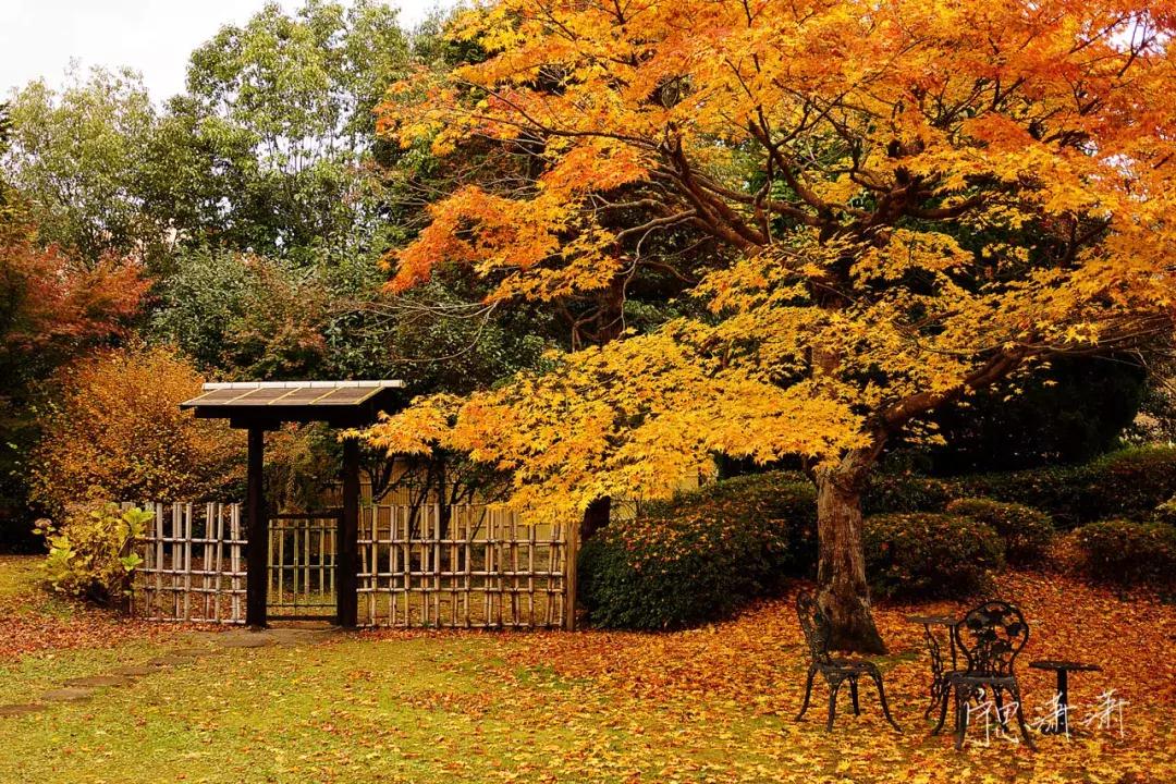 对焦最好的6种方法,视频对焦4分钟学会30种对焦策略