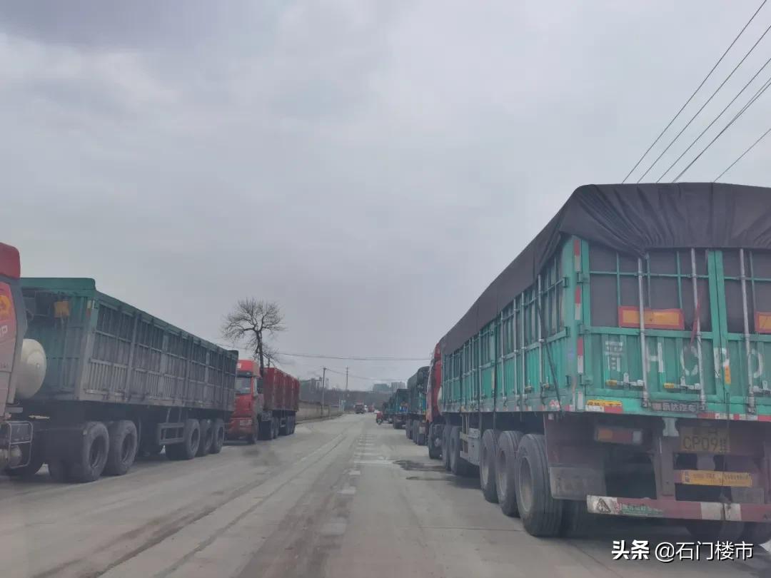 实探现场,实探日本果园