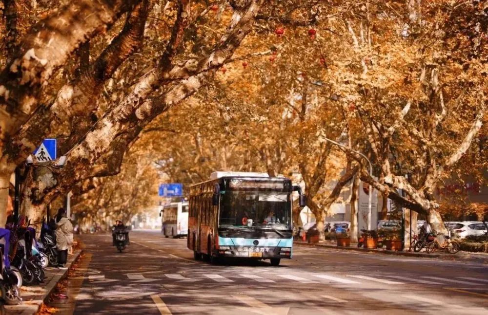 漫天香氛醉人~杭州的秋天从不让人失望!13个地方,秒出大片