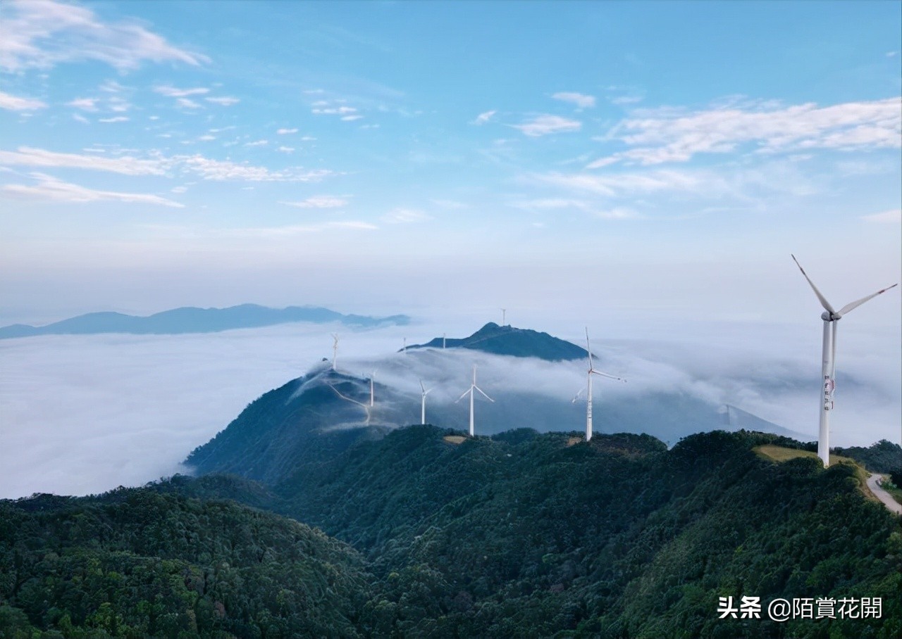 有哪些事情是你去了海南才知道的,有哪些事是你到广西才知道的