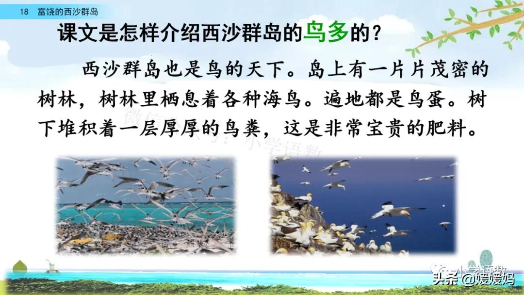 三年级第18课富饶的西沙群岛预习,3年级语文第18课富饶的西沙群岛