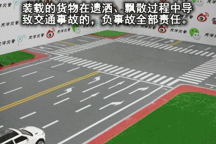 交通标志标线视频大全,交通动图