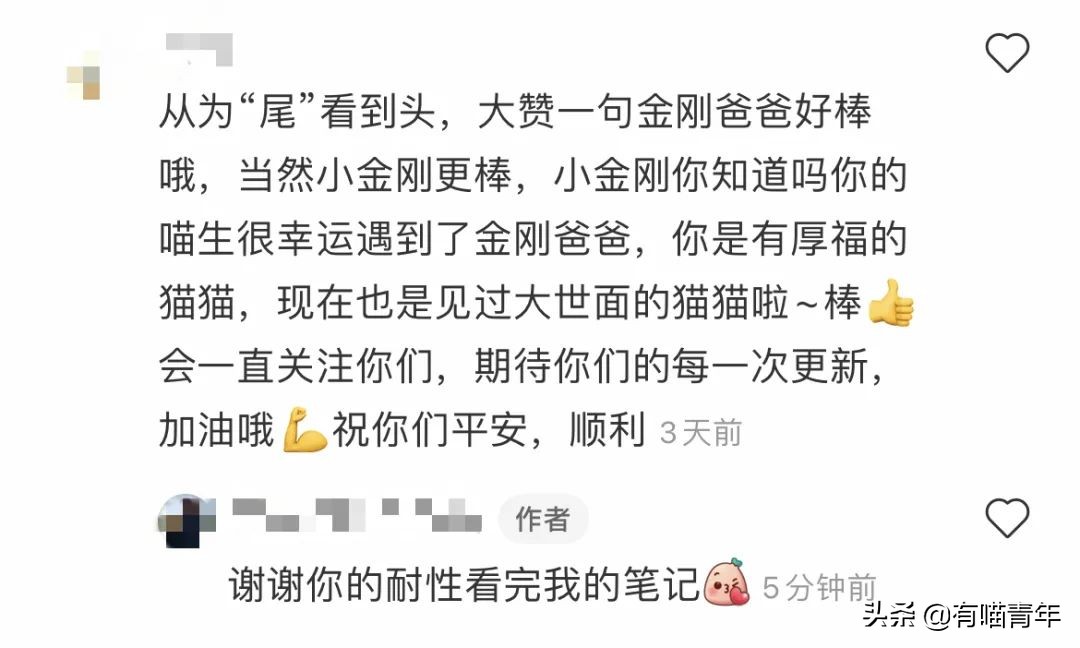 网红绑猫*藏西**骑行求关注,遭网友质疑回怼:比在家里刺激多了