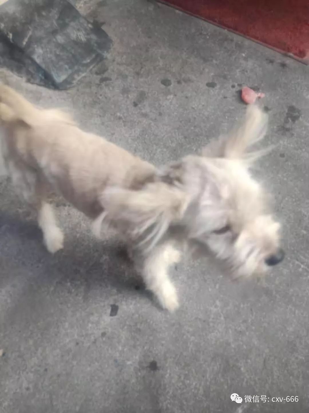 辰溪招聘信息网,辰溪县在线招工