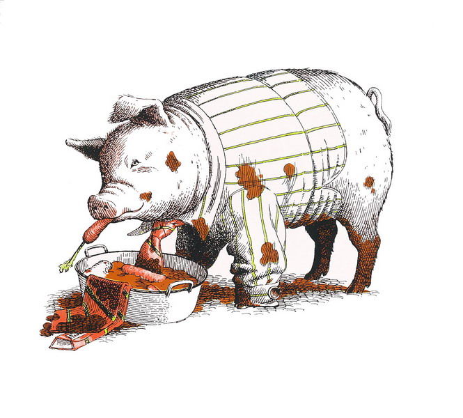 推荐一本关于动物的书,绘本有意思的书