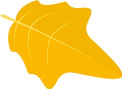 破冰行动|词缀Ped-的那些事