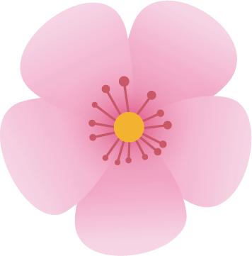 全民健康开幕式,全民健康大会节目回放