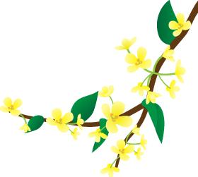 「直通校园」他们眼中的母校教师，怎一个“赞”字得了！——杏花岭小学