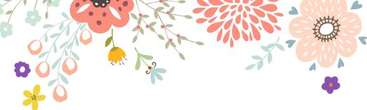 最美南阳月季园,看到美丽的月季花心情豁然开朗