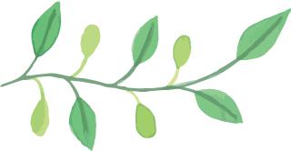 苏州乐园站在哪里,苏州乐园现在改成什么了