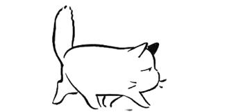 鑳屽悗濂囩棐鏃犳瘮鎰熻鏈変笢瑗块暱鍑烘潵,鑳屽悗濂囩棐鏃犳瘮浼间箮鏈変笢瑗块暱鍑烘潵