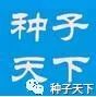 江苏种子市场现状,江苏种子价格表