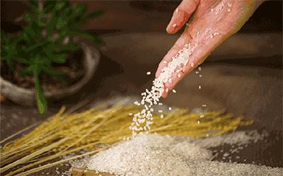 泰国海藻美白洗面奶,美白洗护好物推荐