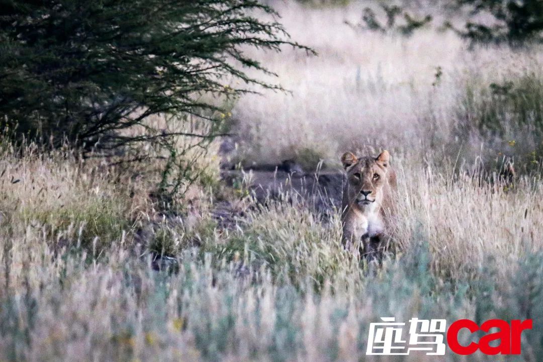 女人的世界,女人世界与您同行