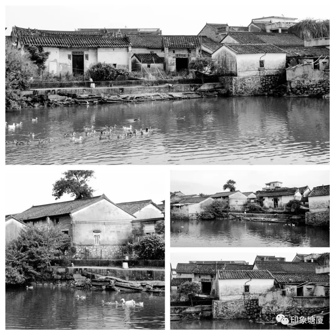 塘厦文化古迹,带你重温曾经的东莞