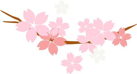 2024年妇科腹腔镜学习班,妇科微创腔镜学习班