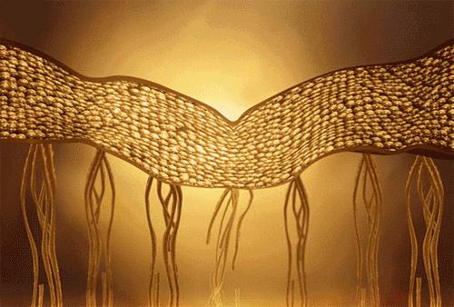 治脚气的抗真菌偏方,角化型脚气干裂最好的药