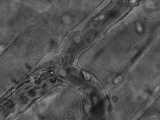 带你声临其境探索宇宙,带你探索维度空间