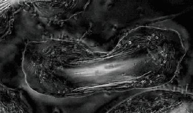 带你声临其境探索宇宙,带你探索维度空间