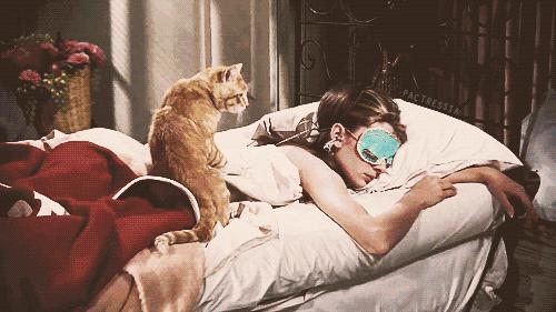 丹麦枕头哪个牌子好,丹麦皇室枕头