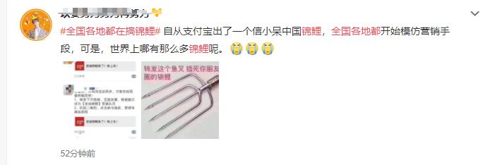 朋友圈锦鲤被曝光多人已上当,锦鲤骗局细思极恐