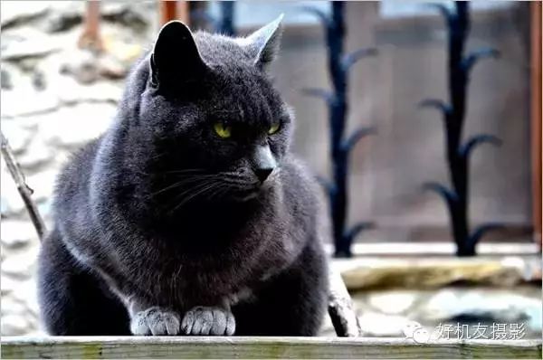 测光模式知识点大全,测光知识完整版