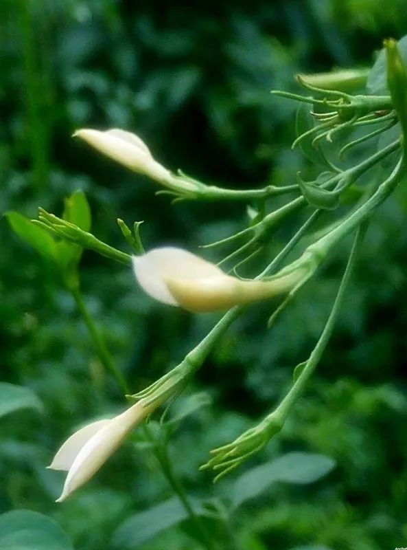 改革开放后广东第一书记,改革开放广东省第一书记是谁