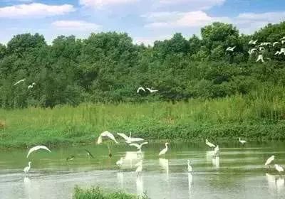 上海到湖州城际铁路,上海到湖州高铁通车吗