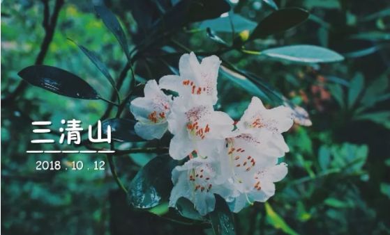 一周全国景区网络评价报告,三清山旅游评价