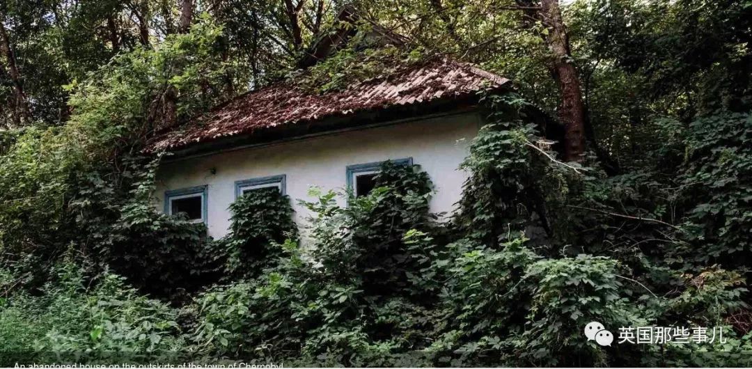 被核辐射侵袭的鬼城,遭遇核辐射的鬼城