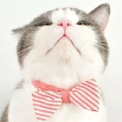 ctni升高原因,ctnl偏高有什么影响