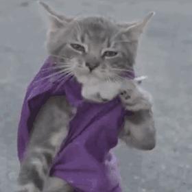 每日一笑你怎么知道的,每日一笑差距