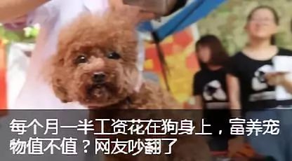 20岁小伙表白被拒,26岁小伙被逼婚最终崩溃