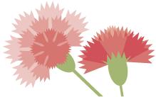 怀孕每个月所需营养食物对照表,育儿知识怀孕期间吃什么水果