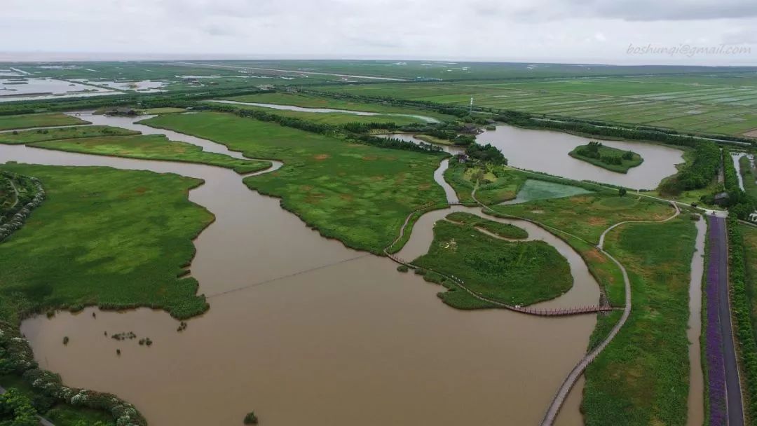 阿拉看环境｜“城市森林中的小生灵”申城有群特殊居民