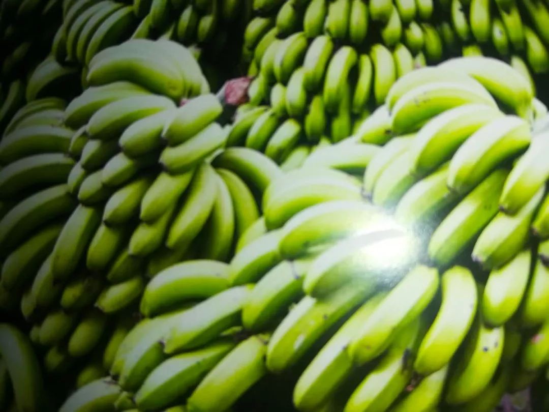 「推荐」刷屏！这是我眼中的边境河口