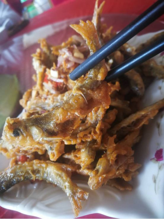 1036有礼啦!花开两岸,柿柿如意——10月20号自驾游报名啦!