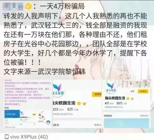 最近锦鲤为什么火了,锦鲤是如何火起来的