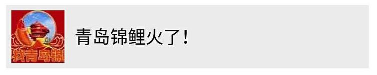 清远街坊注意！全国都在转的锦鲤活动，也许还藏着这些*局骗**！