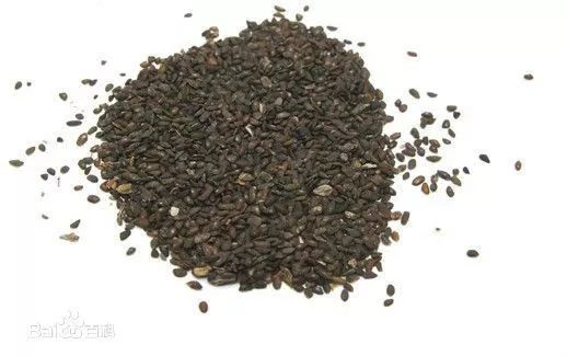 实用药品贴,天然消炎药食物有哪些