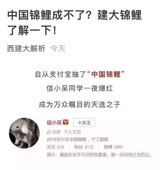 「安全课」“最强锦鲤”是*局骗**？已有36万人的个人信息被骗走！
