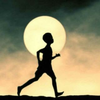 博士陈述自己的求学之路,一个博士生的求学与求职感悟