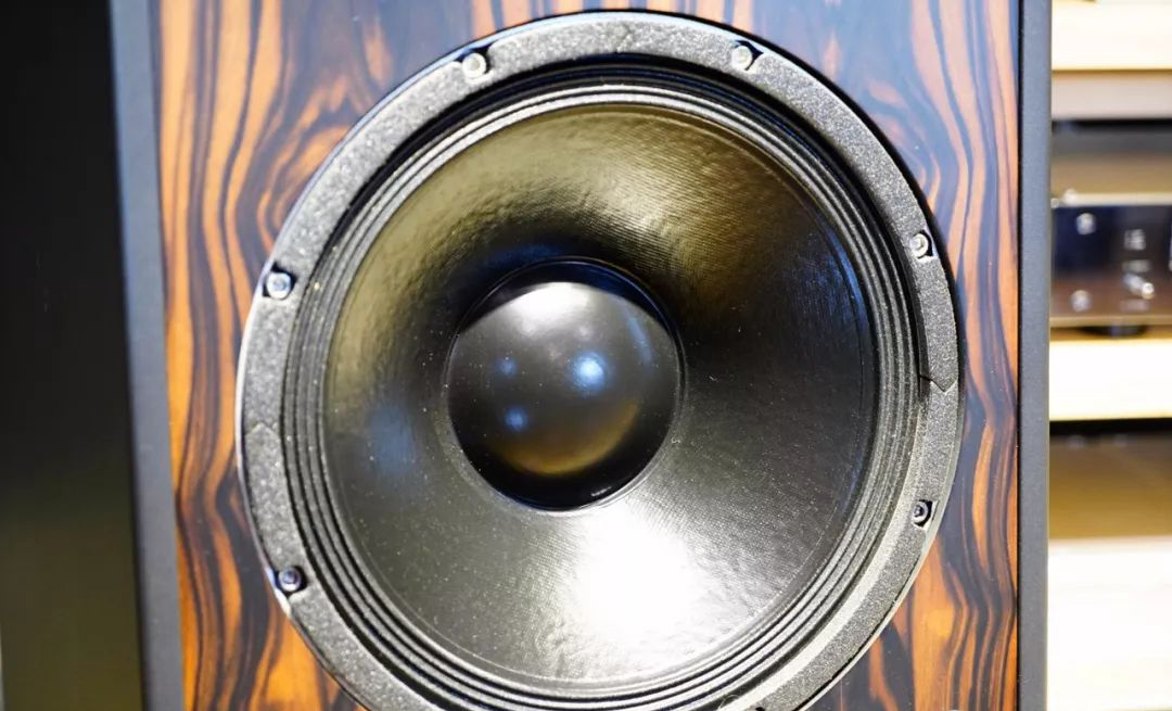 如美玉,德国dynamikks音箱