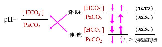 如何做好血气分析结果判读?教程来了……