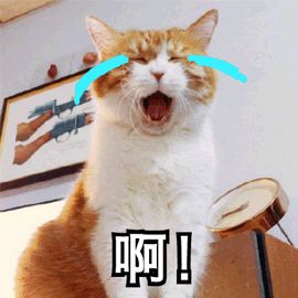 很便宜很好用的一种面霜,很便宜的面霜正品吗