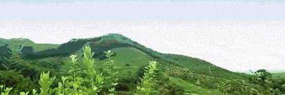 脖子酸肩颈痛按按这3处轻松缓解,肩酸脖子痛用什么姿势缓解