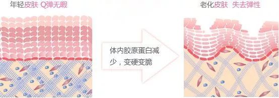 抗氧化修护面霜,修复维稳抗老大牌精华和面霜