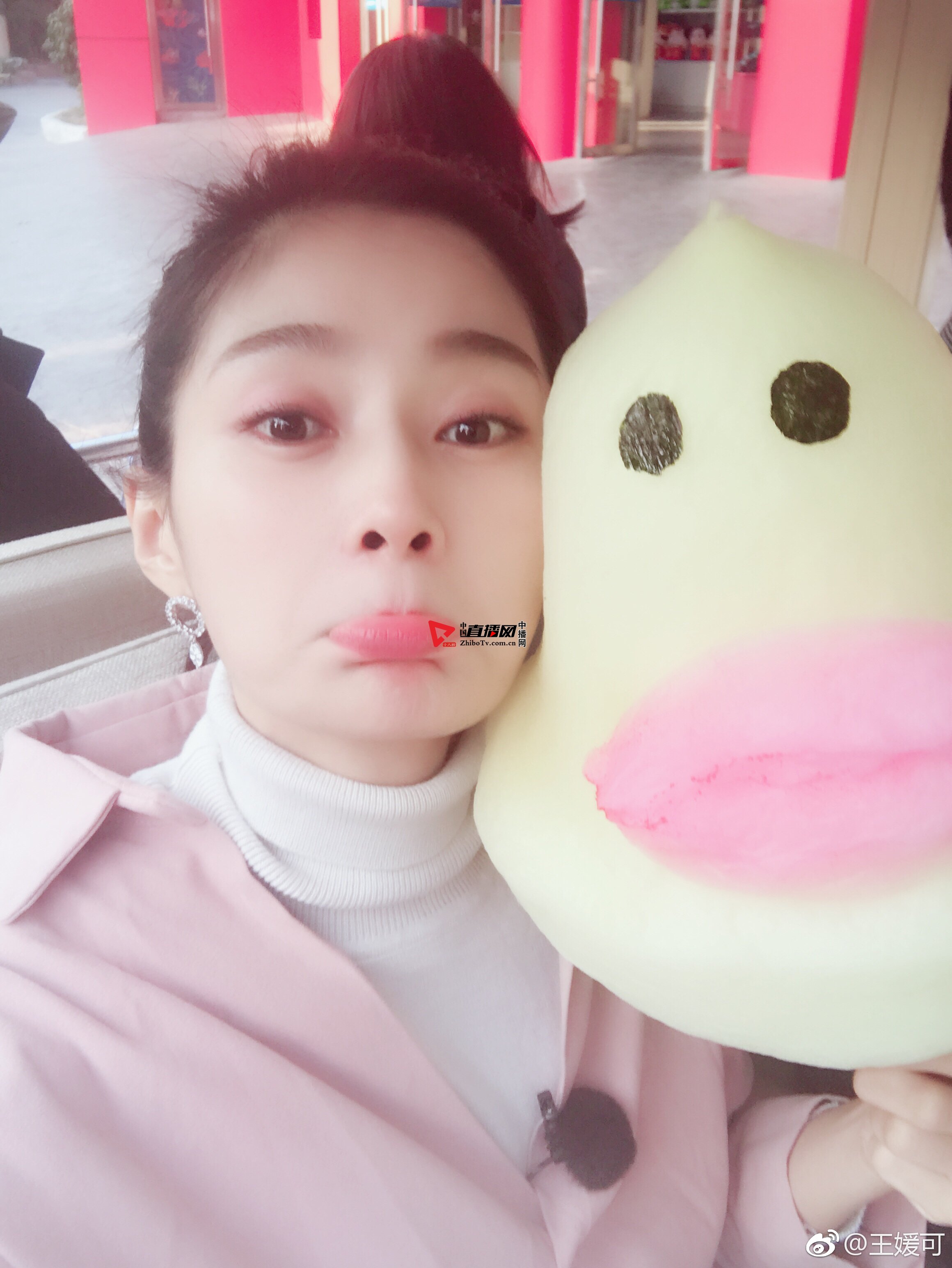 王媛可和粉丝合影 (王媛可延禧攻略纯妃第一个镜头)