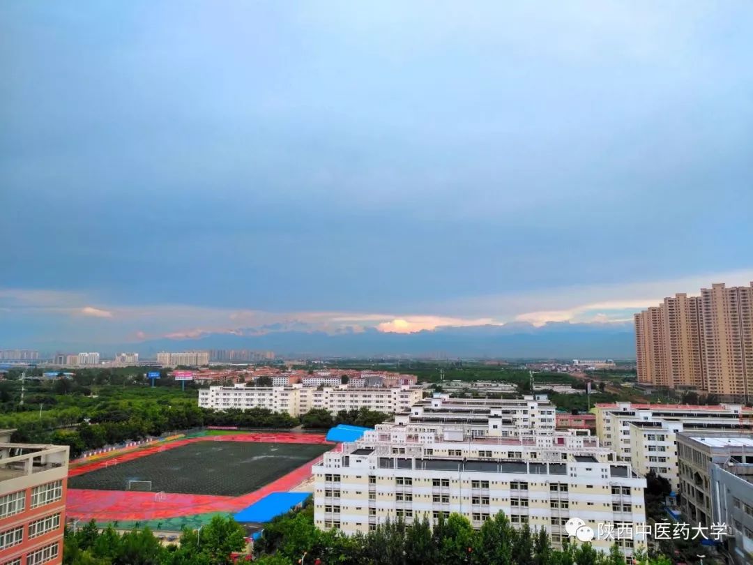 陕中大最火的这几款色号，你种草了么？